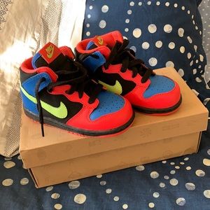 Brand New Nike Dunk High ND